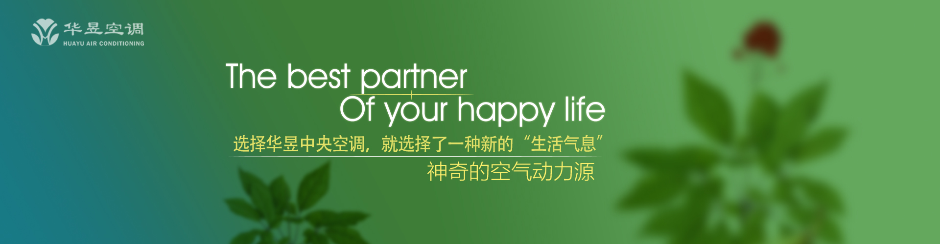 比下有余网